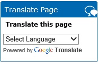 Google translate logo